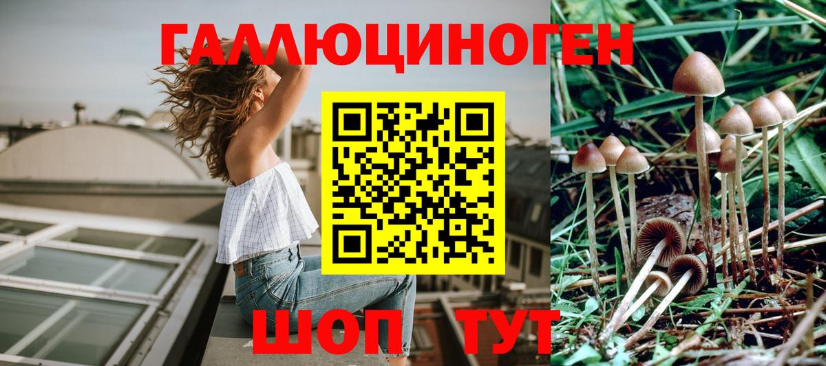 Псилоцибиновые грибы MAGIC MUSHROOMS Волгодонск